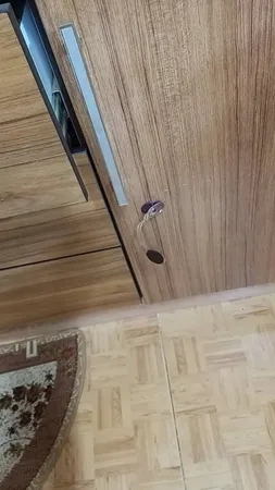 درپوش پریز برق مدل w/01 بسته 20 عددی