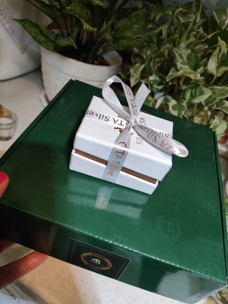 گوشواره نقره زنانه جی تی ای مدل جی نایس 30