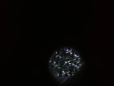 میکروسکوپ جیبی مدل 9592