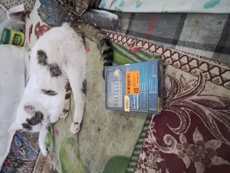 پیچ گوشتی دلی مدل DL1033D مجموعه 33 عددی