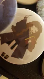 پیکسل فلوریزا طرح هری پاتر هرماینی گرنجر کد MA091