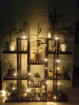 ریسه ال ای دی مدل کهکشان طول 10 متر