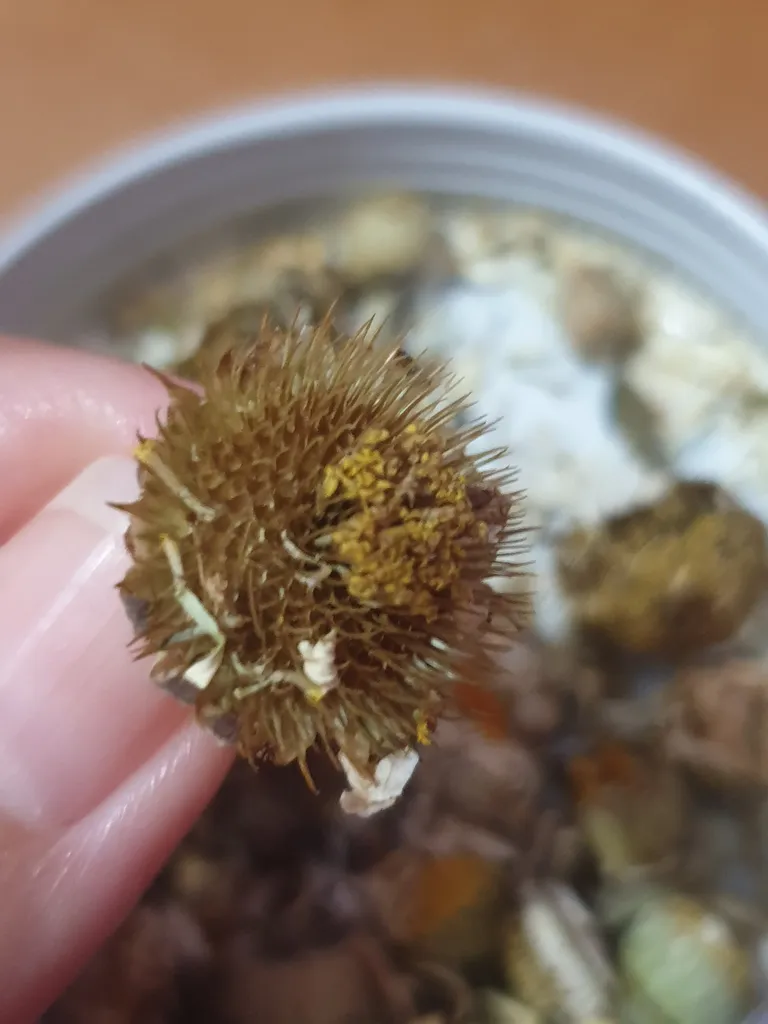 گل بابونه ممتاز سرمد - 110 گرم