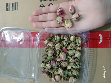 غنچه گل رز خشک مدل sanaz