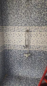 تجریه خرید علم دوش حمام ققنوس مدل قهرمان