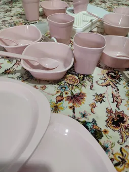 سبد پیک نیک 50 پارچه بیتا کد 113