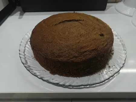 آون توستر کاراجا مدل 260N