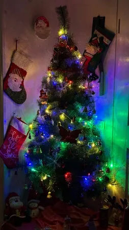 ریسه ال ای دی مدل سوزنی طول 10 متری