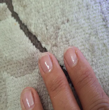 تاپ کت گلباران مدل 1221