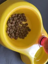 تجریه خرید غذای خشک گربه سلبن مدل Sterilised وزن 2.5 کیلوگرم