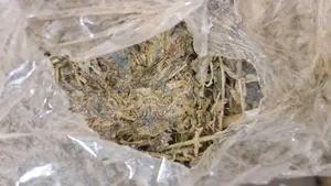 تجریه خرید یونجه خشک خرگوش و جونگان لوپ هاوانا کد 01 وزن 4 کیلوگرم بسته 4 عددی