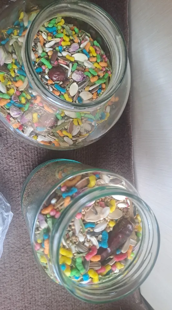 غذای طوطی کوکو پلاس مدل پروت وزن 1 کیلوگرم