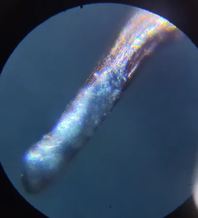 کابل برق 2 در 2.5 مدل سیار