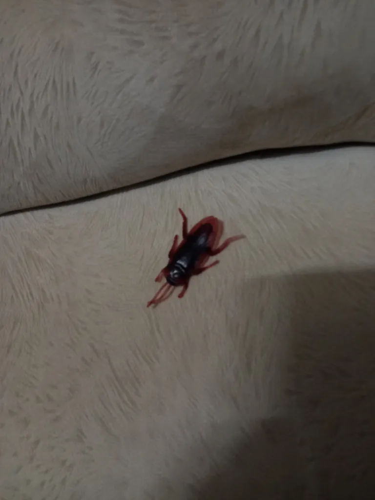 بسته آموزشی کودکان با حشرات بسته 5 عددی سوسک