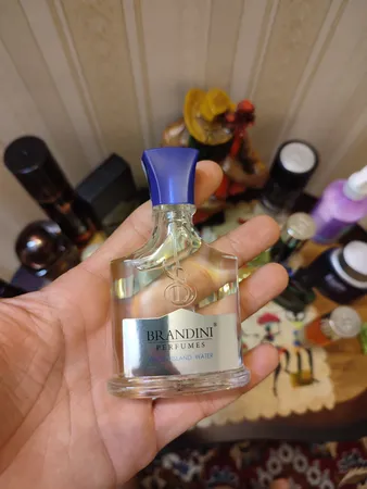 عطر جیبی برندینی مدل Virgin Island حجم 33 میلی لیتر