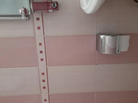 پایه رول دستمال کاغذی اطلس مدل الوند