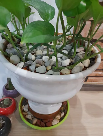 سنگ تزیینی مدل طبیعت وزن 900 گرم