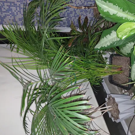 نگهدارنده گیاه مدل نیلوفری کد a-789 بسته چهار عددی