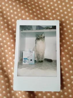 فیلم مخصوص فوجی فیلم مدل Instax Mini