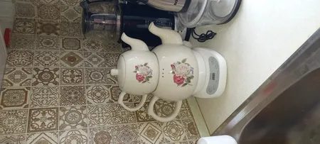 چای ساز میگل مدل GTS-113.01