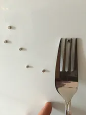 تجریه خرید آهن ربا مدل استوانه کوچک بسته 20 عددی