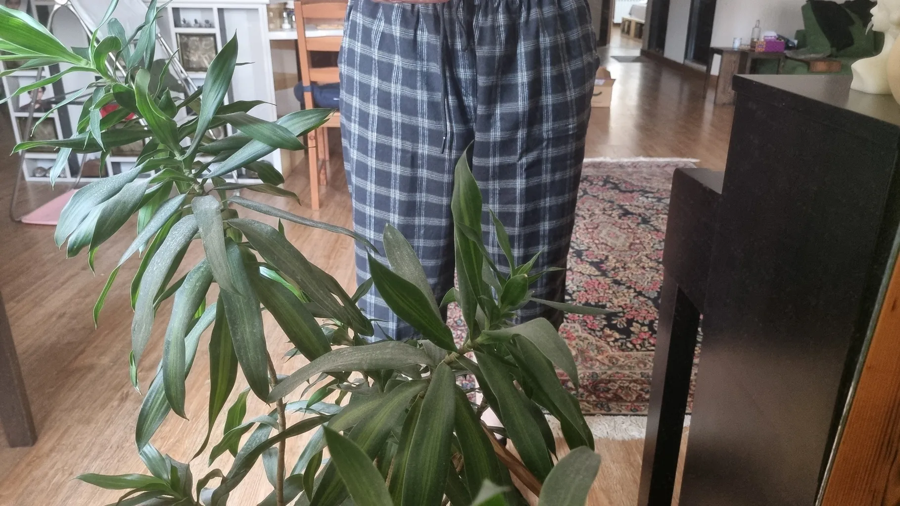 شلوارک مردانه آریان نخ باف مدل 1932 بسته 2 عددی