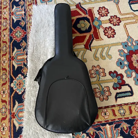 هارد کیس گیتار کلاسیک پلاس مدل Black