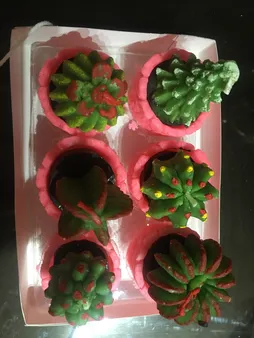 شمع طرح کاکتوس بسته 6 عددی