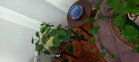 میز عسلی مدل WO3500