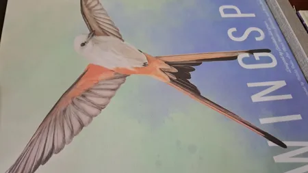 بازی فکری مدل Wingspan