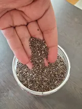 تجریه خرید دانه چیا ممتاز قصیده - 450 گرم