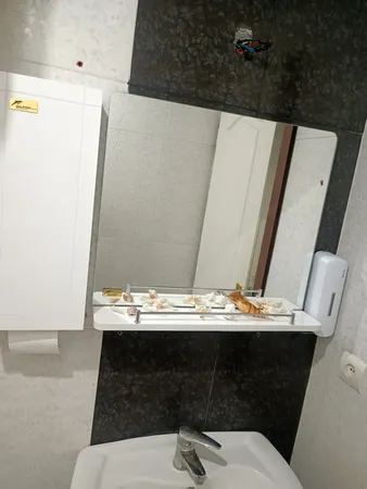 ست آینه و باکس دلفین کد 10260