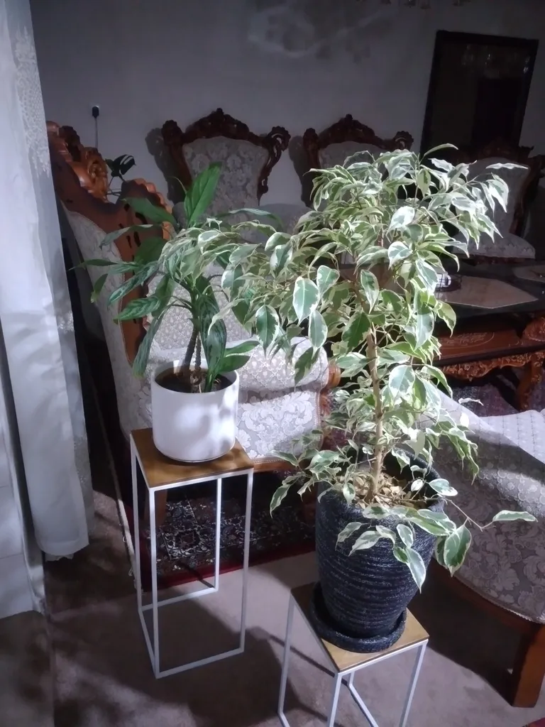 استند گلدان حٌبٌک مدل stf7000 مجموعه 3 عددی