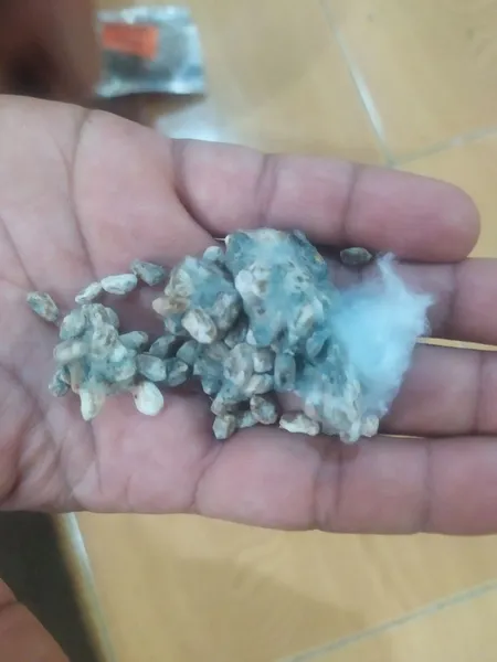 عکس ارسالی خریدار