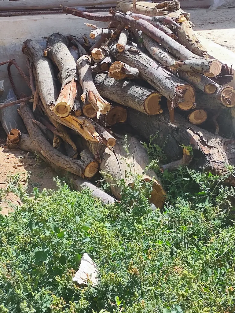 اره زنجیری ویوارکس مدل VR2108P-CS