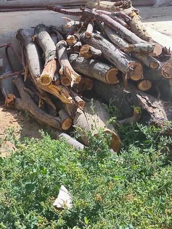 اره زنجیری ویوارکس مدل VR2108P-CS