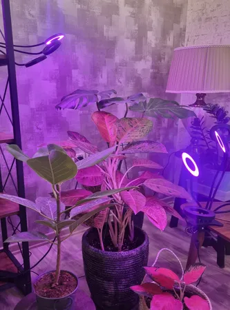 چراغ رشد گیاه 40 وات مدل Quad Circle