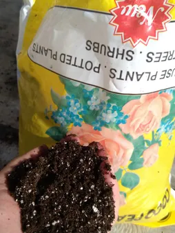 کوکوپیت و پیت ماس رویش مدل CC-MAS-3k کد Pack-01 مجموعه 3 عددی