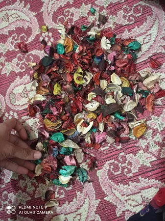 گل خشک بسته بندی مدل رنگارنگ