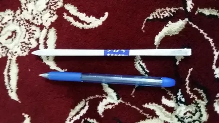 سیخ کباب مدل LION بسته 10 عددی