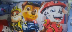 تجریه خرید روبالشی کودک طرح سگهای نگهبان مدل rob301