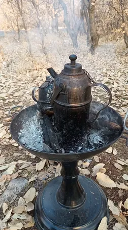 باربیکیو مدل جامی بلند