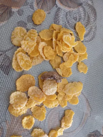 غلات صبحانه کورن فلکس چی توز - 75 گرم