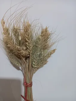 دسته گل خشک مدل خوشه گندم کد 20