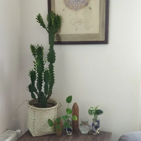 سبد حصیری مدل استوانه17-27 بسته سه عددی