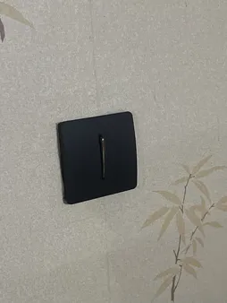 کلید تک پل آسیا مدل کریستال BLK-GLD