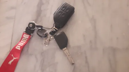 جاسوئیچی خودرو کد 112017 مناسب برای ولوو