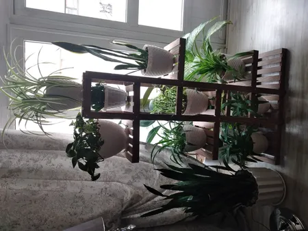 استند گلدان مدل A3