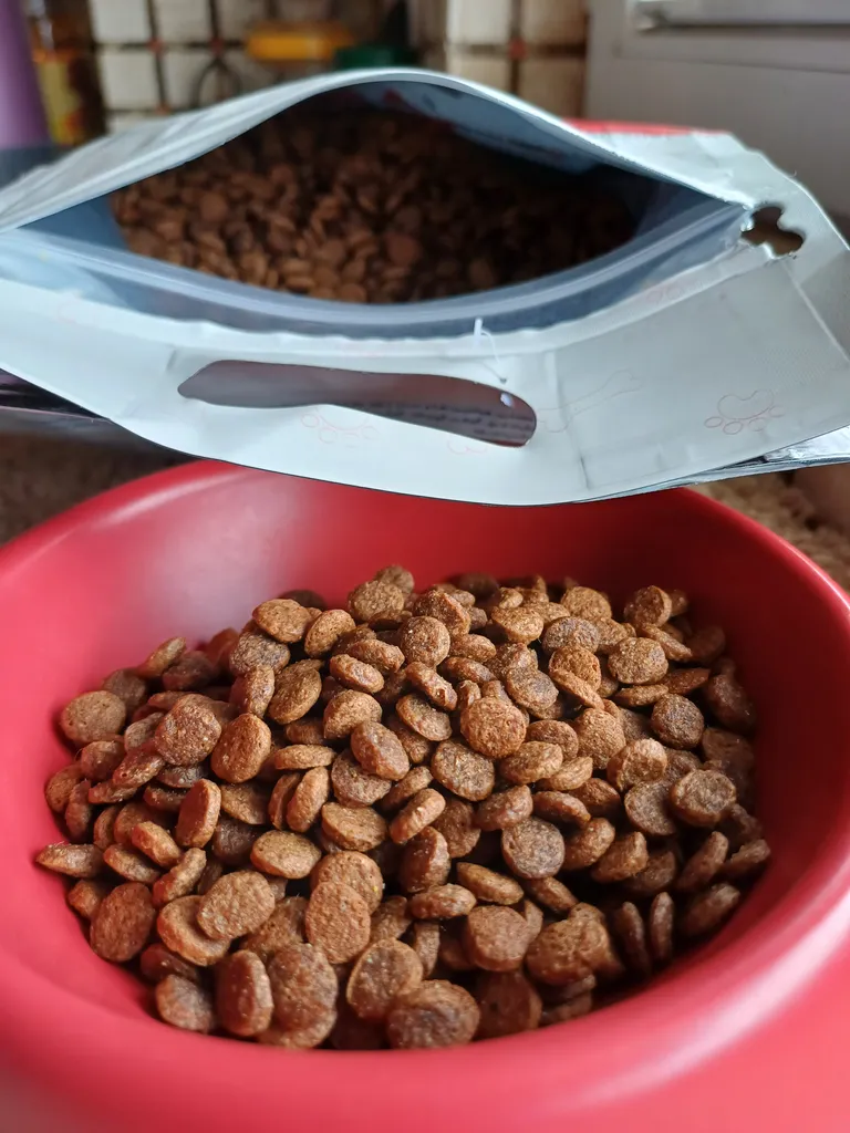 غذای خشک گربه پتیوم مدل ADULT وزن 1.5 کیلوگرم