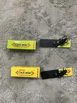 ابزار شوخی مدل آدامس سوسکی بسته 2 عددی